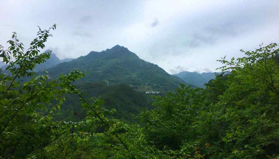 重庆最高峰 重庆开州区主要的山体，及山峰海拔，全区最高峰2626米