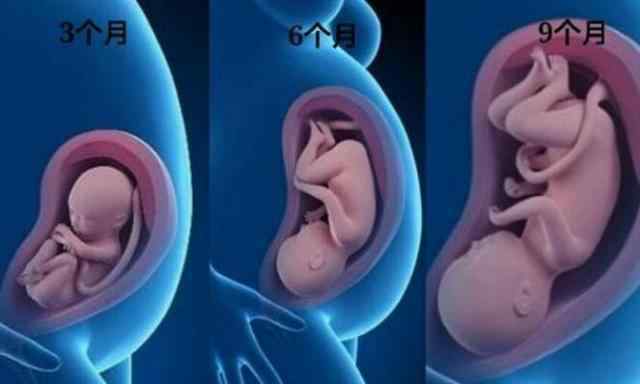 怀孕三个月男胎儿图 胎儿3个月、6个月、9个月有什么变化？看完这组对比图，感动了