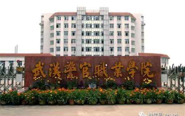 武汉专科院校 武汉10大最好的专科学校，有你上的学校吗？