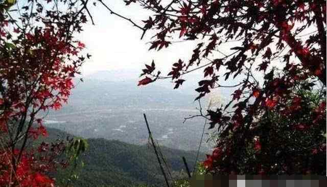 点灯山 漳州市诏安县太平镇一座极富传奇色彩的山峰——点灯山