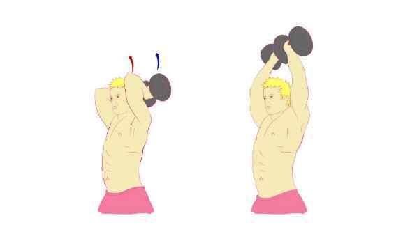 三头肌锻炼方法 5招简单三头肌训练！家中也能锻炼的强化手臂方法