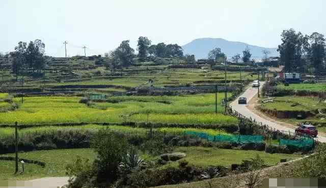 大姆山草场 “福建人的内蒙古草原”福清大姆山草场