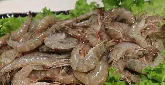 冰冻大海虾怎么做好吃 保存鲜虾有妙招，教你这几种小方法，冷冻后的依旧新鲜美味！