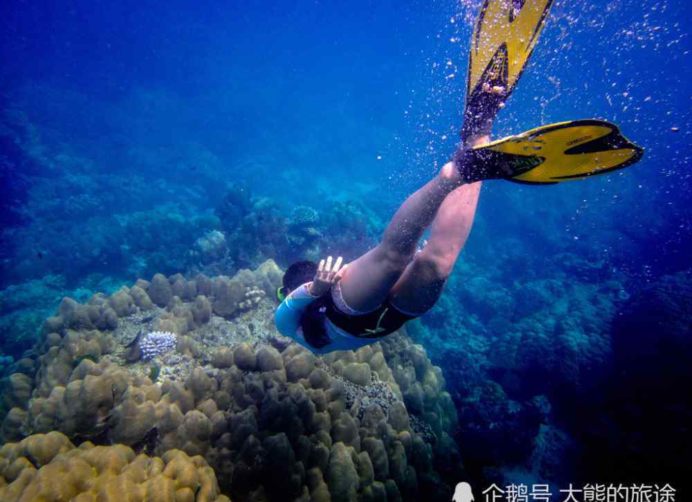 南非旅游景点 非洲旅行20大必看景点