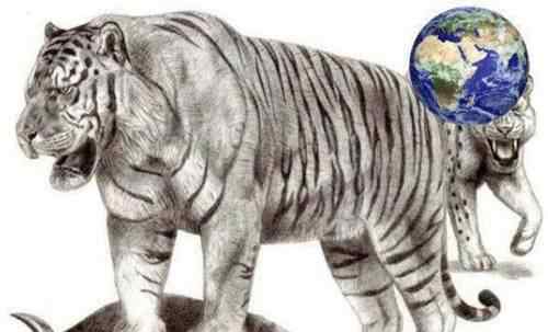 800公斤史上最大的老虎 史上最大的老虎800公斤