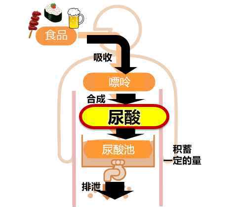 facle FANCL HealthScience降尿酸健康食品为你保驾护航