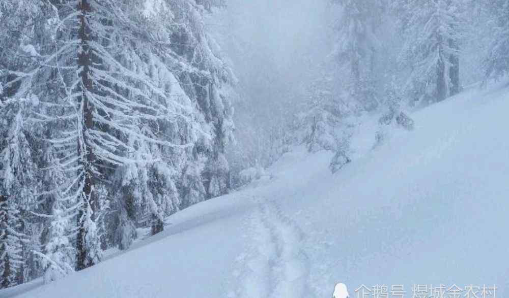 一九二九不出手 农村俗语：“一九二九不出手”是什么意思，今年的冬天有多冷？