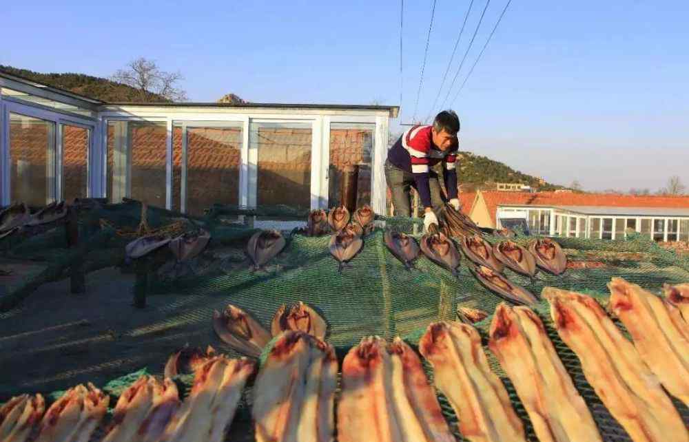 鲅鱼饼子 鲅鱼、鳗鱼、鼓眼鱼…青岛这里的甜晒鱼全国出名