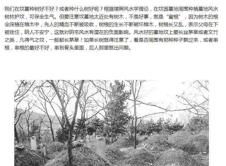 坟 坟上长树意味着什么，坟上种什么树对后代好？