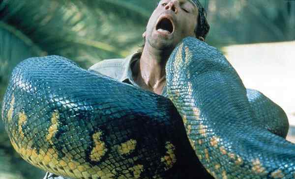 蛇活久了为什么雷会劈 巨型蟒蛇竟活吞一村民图，被蟒蛇生吞多久会死亡？
