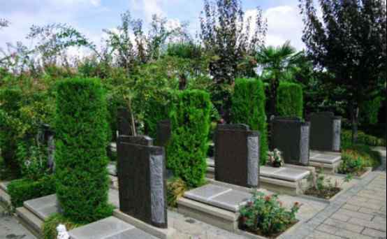 坟前栽树正确位置图片 墓地栽树怎样风水好来看图片，墓地种什么花可以旺后人？