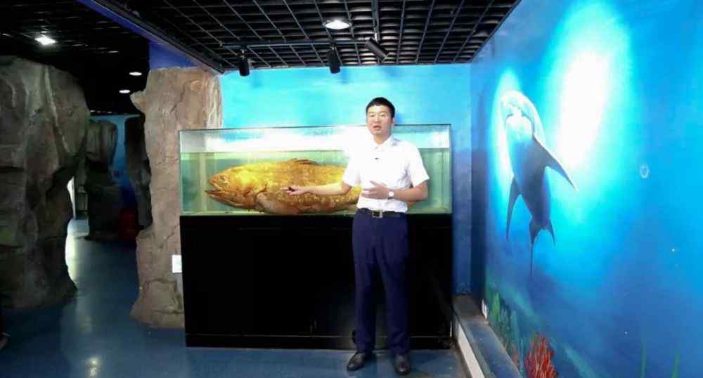 拉蒂迈鱼 奇妙的博物馆故事系列二：拉蒂迈鱼