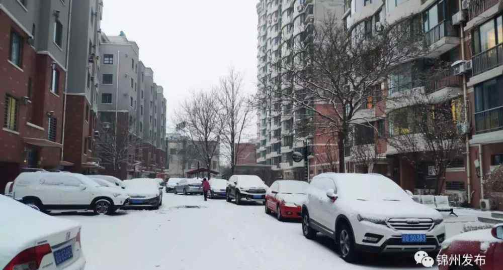 锦州天气预警 锦州气象台刚刚发布大雪黄色预警，雪还会下多久？下周气温变化大吗？