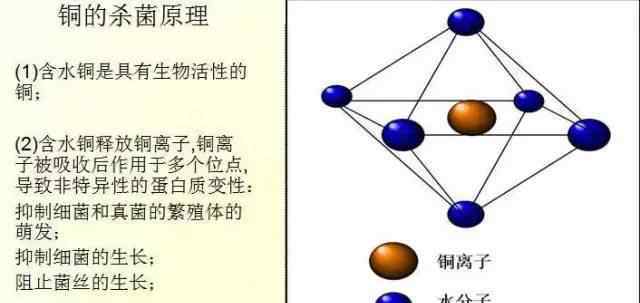 松脂酸铜 为何松脂酸铜是替代波尔多液的理想杀菌剂？这里给你答案