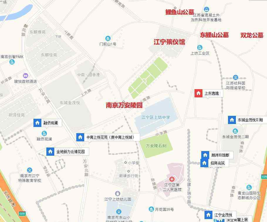 鲤鱼山公墓 搬不走的坟地？来不了的地铁？南京这些板块居民，心很痛……