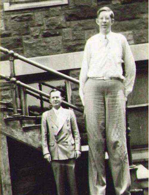 世界第一高人5米9的人 世界上最高的人有多少米