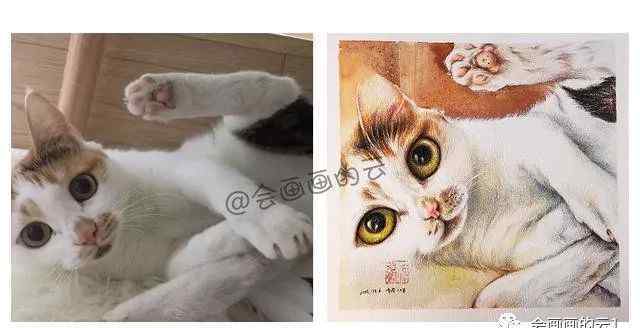 画一只可爱的小猫咪 彩铅画起来很简单，教你如何画一只慵懒的猫咪，太可爱啦