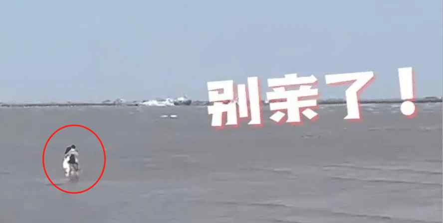 上海小情侣在水中热吻忘记上岸 保安急得喊到破音：别亲了！涨潮了