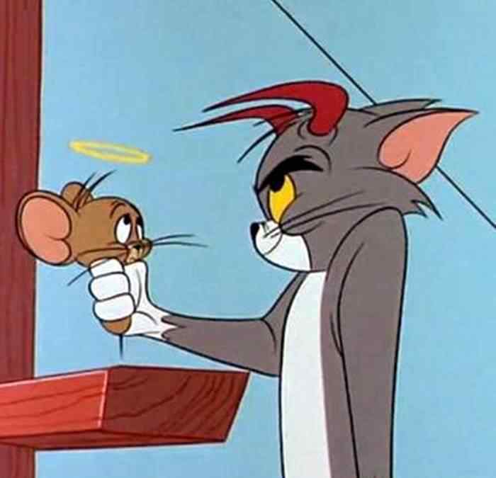 猫和老鼠的老鼠叫什么 《猫和老鼠》中的汤姆猫，你知道它是什么品种吗，这么多年的谜终于解开了