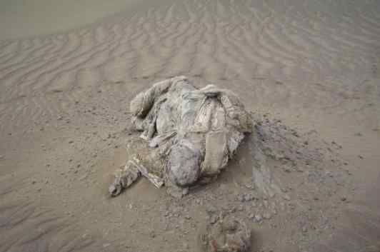 驴友在线 新疆发现驴友干尸图，新疆女驴友暴死沙漠
