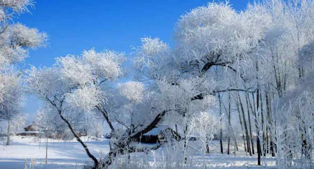 当爱行走在冬季 行者丨8大赏雪胜地，在寒冷的冬季，最浪漫莫过于行走在大雪纷飞中