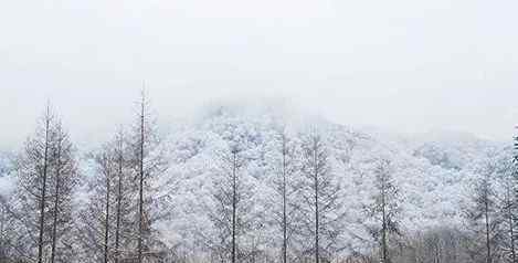 天线宝宝滑雪 成都周边滑雪场，你pick哪一个？