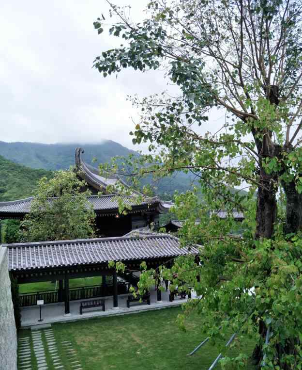 慈山寺 香港慈山寺观音像有多高，慈山寺风水布局分析