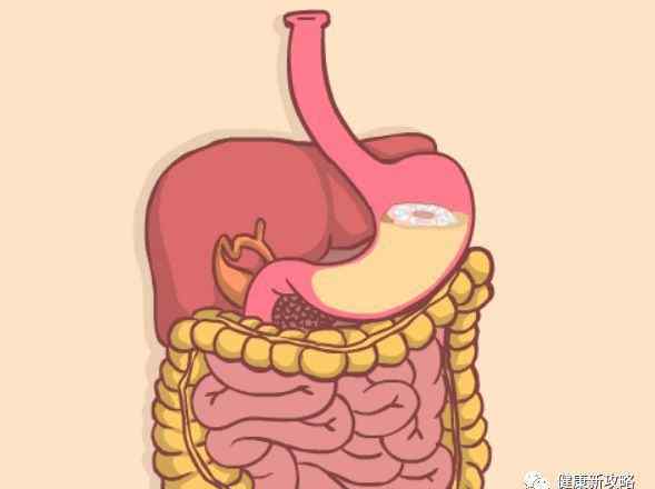 胃酸是什么酸 吃东西反酸是怎么回事？胃酸过多用什么中和？