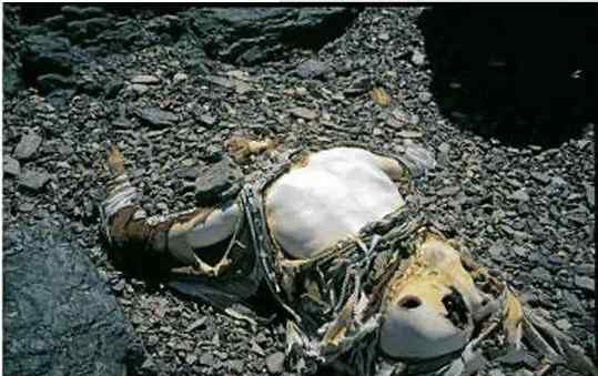 珠穆朗玛峰的死尸图 珠峰上的登山者遗体会烂掉吗，真实实拍珠峰上的哪些逝者图片