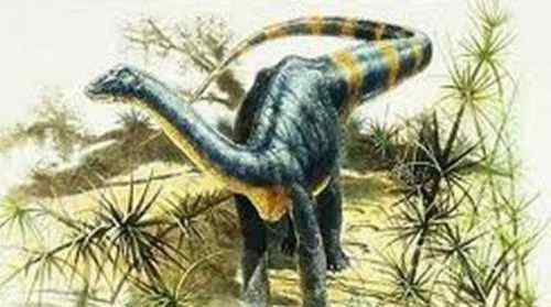波塞东龙 史上最大的恐龙盘点