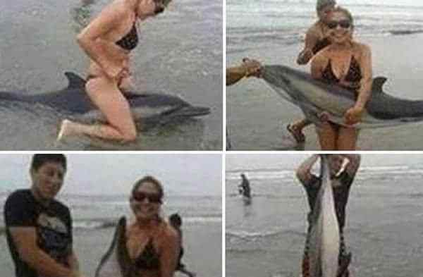 没人道 没天理没人道，女子竟然将搁浅海豚骑死