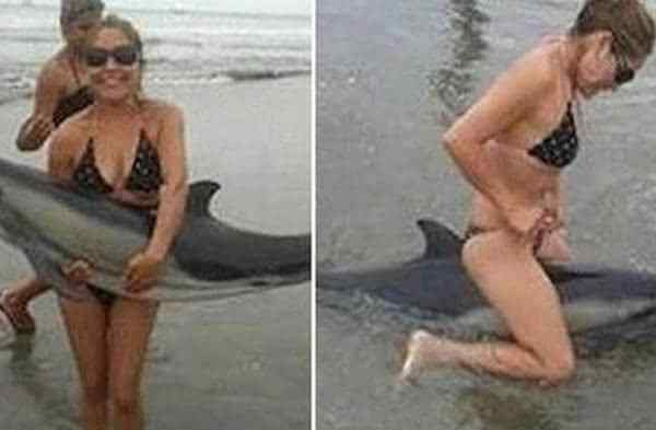 没人道 没天理没人道，女子竟然将搁浅海豚骑死