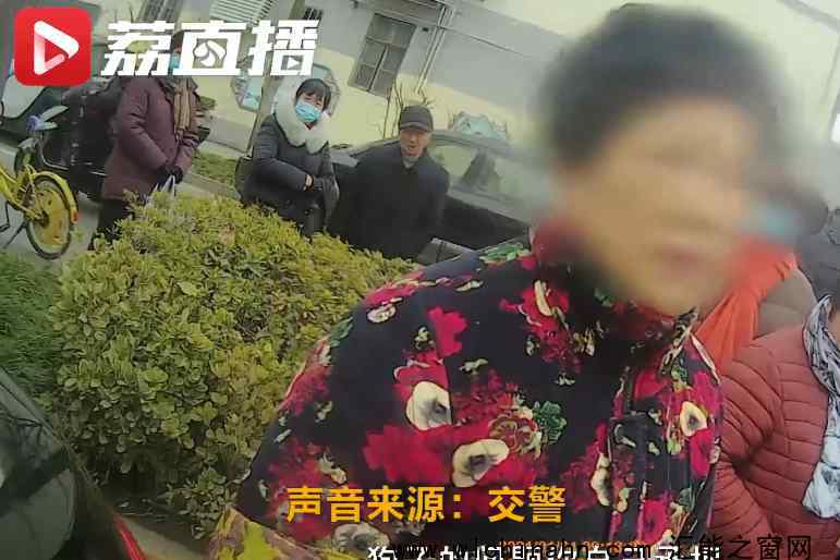 狗狗未拴绳过马路被撞死主人全责 究竟发生了什么