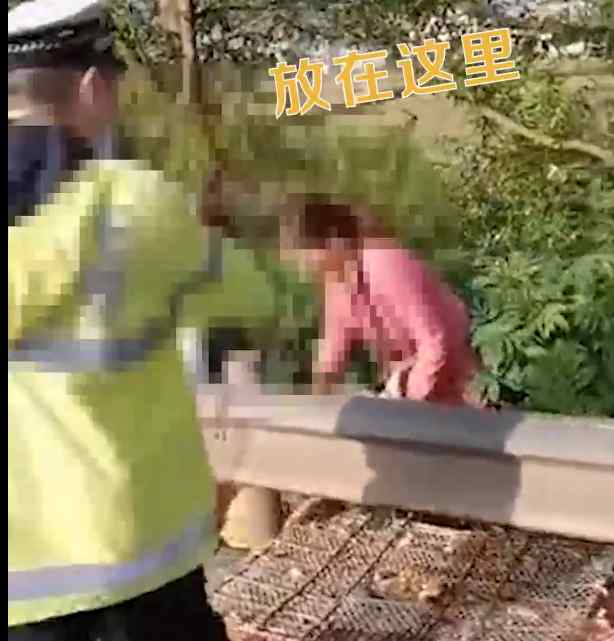 运鸡货车侧翻两女子竟用麻袋偷鸡 交警怒斥将其制止 过程真相详细揭秘！