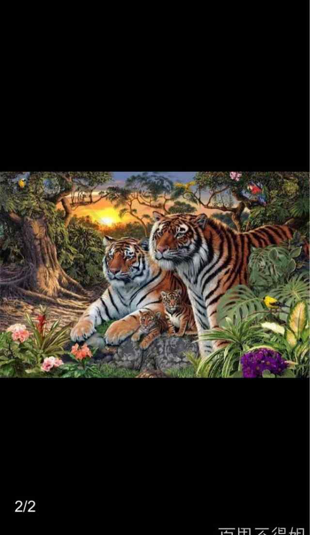 有只老虎 数数图里到底有多少只老虎