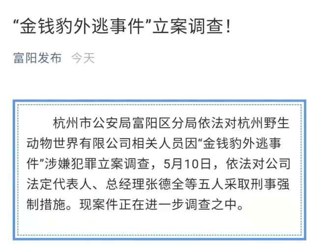 杭州公安对金钱豹外逃事件立案调查 事件的真相是什么？