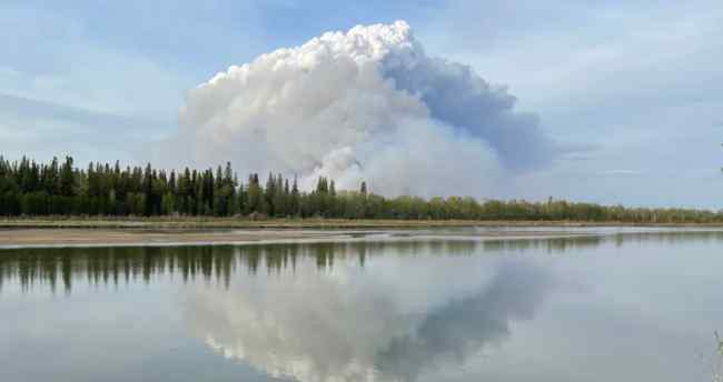 加拿大西部发生丛林大火近万居民断电 具体是啥情况?