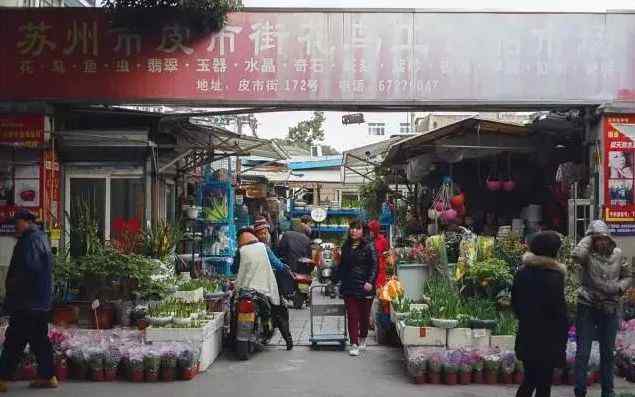 苏州花鸟市场 @苏州人 明天新花鸟市场正式开门迎客！地址就在...