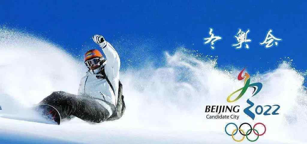 2022年北京冬奥会吉祥物 2022年北京冬奥会的吉祥物冰墩墩来了！
