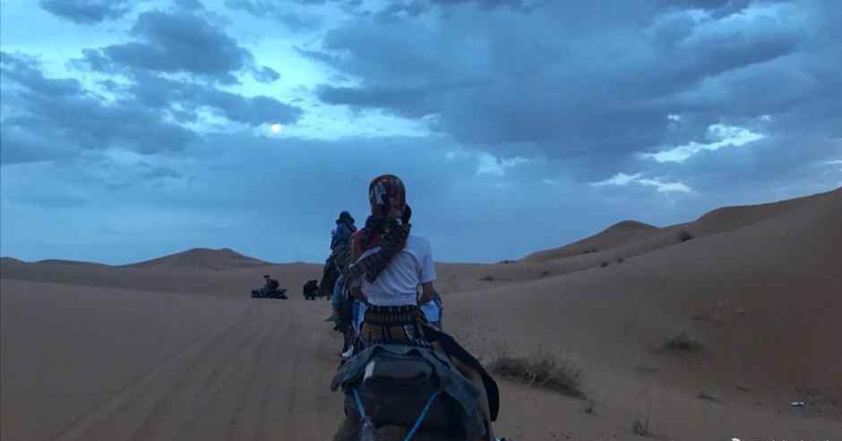 林志玲沙漠中骑骆驼 笑容甜美性感撩人