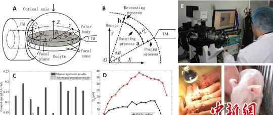 世界首例机器人＂操刀＂的克隆猪在天津诞生