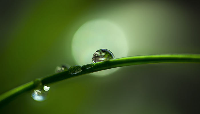 白露是什么季节 白露是什么季节的