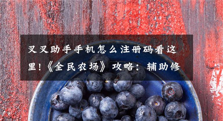叉叉助手手机怎么注册码看这里!《全民农场》攻略：辅助修改使用教程