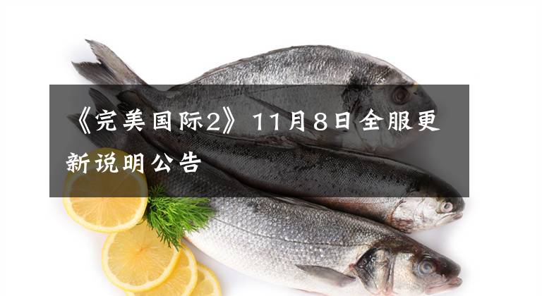 《完美国际2》11月8日全服更新说明公告文章配图