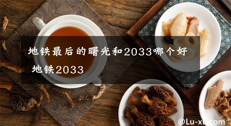 地铁最后的曙光和2033哪个好 地铁2033