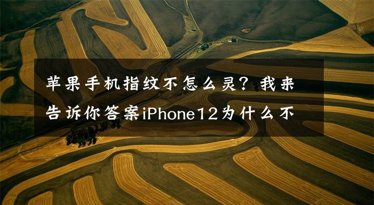 苹果手机指纹不怎么灵？我来告诉你答案iPhone12为什么不加入指纹解锁？屏下指纹解锁多方便文章配图