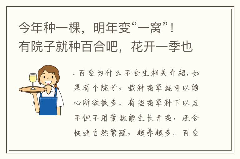 今年种一棵，明年变“一窝”！有院子就种百合吧，花开一季也很值