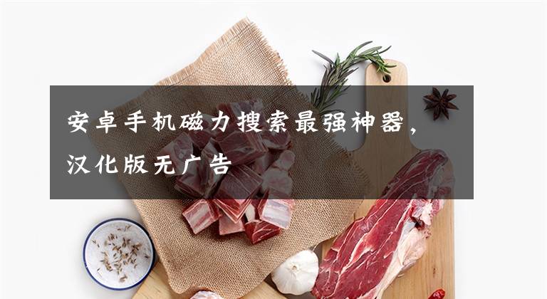 安卓手机磁力搜索最强神器，汉化版无广告文章配图