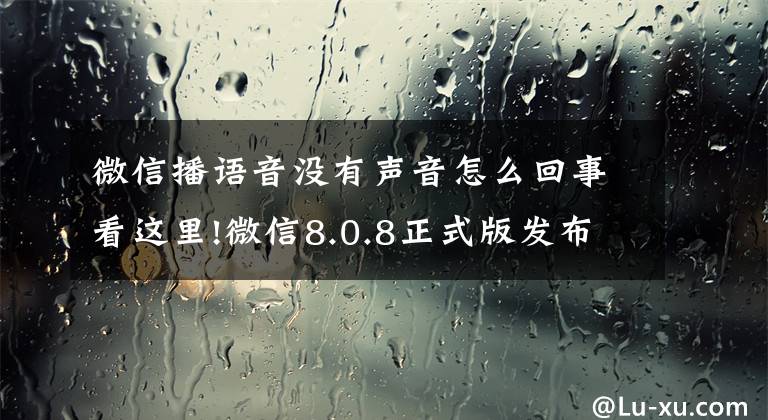 微信播语音没有声音怎么回事看这里!微信8.0.8正式版发布，能自定义来电铃声，还有这6大变化文章配图