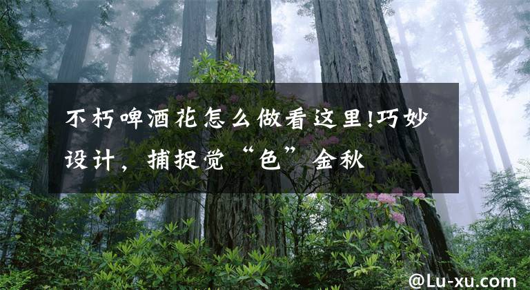 不朽啤酒花怎么做看这里!巧妙设计，捕捉觉“色”金秋文章配图